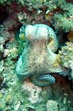 2009-09-08 13-12-31Li